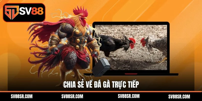 Chia sẻ về đá gà trực tiếp 