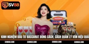 Đầu Tư Baccarat